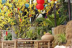 Lời dặn dò của cha ngày con gái tròn 18 tuổi