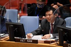 Việt Nam kêu gọi Afghanistan tuân thủ luật nhân đạo quốc tế