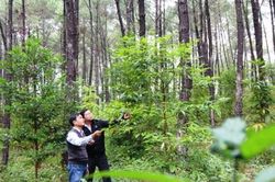 Kinh tế Nông nghiệp - Nông thôn WWF Việt Nam tài trợ 4,8 tỷ cho dự án 'Mây tre keo bền vững – pha 7'