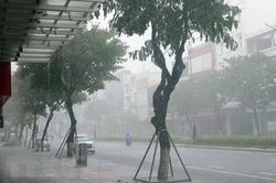 Chủ động ứng phó với bão số 5 trong bối cảnh dịch Covid-19