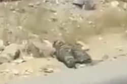 Taliban trả thù phe kháng chiến tại thung lũng Panjshir