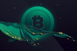 Một 'cá voi Bitcoin' vừa thức giấc sau hơn 7 năm không giao dịch