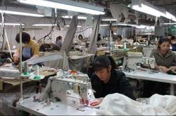 Nhật Bản: Nhiều doanh nghiệp tiếp nhận thực tập sinh bị phát hiện vi phạm pháp luật