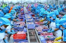 Xuất khẩu thủy sản tháng 8 giảm mạnh