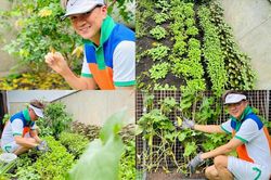 Ngắm khu vườn xanh mướt trong biệt thự 60 tỉ đồng của Đàm Vĩnh Hưng