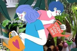 Trong lúc bạn miệt mài tìm mua rau sạch thì người ta đã có cả một 'vườn rau mini' rồi đây