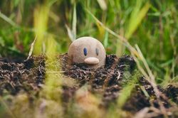 Trải nghiệm bắt Pokemon ngoài đời thật ở Nhật Bản