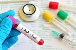 Chồng cũ nghi bị đổ vỏ, người phụ nữ tức giận xét nghiệm ADN