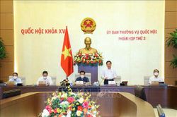 Kiểm soát chặt việc ban hành văn bản quy định chi tiết