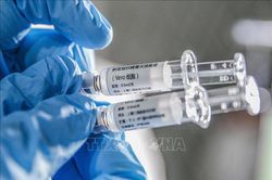 Indonesia tiếp nhận thêm 9,5 triệu liều vaccine của hãng Sinovac