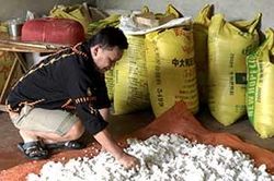 Hợp tác xã Nông trang sinh thái Mẫu Sơn: Đa dạng sản phẩm phục vụ du lịchTin khácNgành giáo dục tận dụng thời gian 'vàng' để dạy họcĐảm bảo chất lượng thuốc, đáp ứng nhu cầu chăm sóc sức khỏe Nhân dân