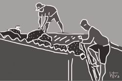 Đời sống Căn cơ