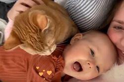 Bé gái và mèo con lớn lên bên nhau