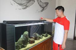 Thú chơi bể thủy sinh