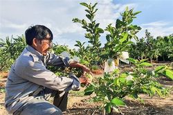 Cần thực hiện tốt hơn công tác đảm bảo an toàn thực phẩm
