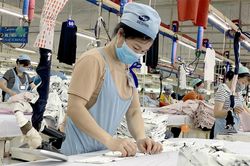 Phát huy lợi thế vùng xanh, đẩy mạnh phát triển kinh tế