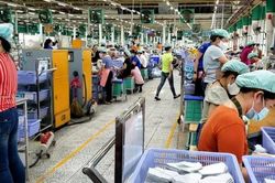 'Vùng xanh' phục hồi sản xuất