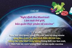 Ngày Quốc tế bảo vệ tầng ozone (16/9/2021): Làm mát thế giới, bảo quản thực phẩm và vaccine