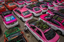 Ế ẩm vì COVID-19, hàng trăm taxi biến thành nơi trồng rau