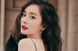 Cùng 'vác đơn' đi kiện, Triệu Lệ Dĩnh và Dương Mịch đều đòi được công bằng