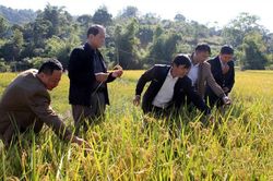 'Nâng chất' cán bộ quản lý HTX vùng dân tộc thiểu số tỉnh Lạng Sơn (Bài 1): Những khó khăn cần tháo gỡ