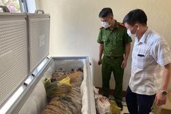 Phát hiện 1 cá thể hổ được giấu trong tủ đông lạnh