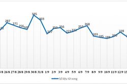 Số ca tử vong vì Covid-19 tại TP. HCM 'đi ngang' trong 3 ngày liên tiếp