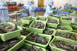 Chỉ ngồi báo cáo đếm cây, đếm con... thì không thể thay đổi được