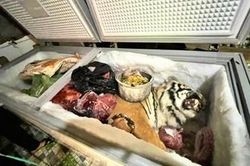 Phát hiện xác cá thể hổ trong tủ cấp đông ở nhà dân