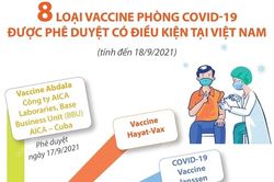 8 loại vaccine phòng COVID-19 được phê duyệt có điều kiện tại Việt Nam