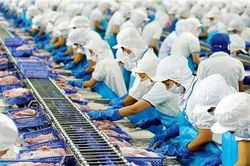 Giãn cách xã hội khiến xuất khẩu cá tra của Vĩnh Hoàn giảm mạnh
