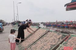 Đưa con về quê làm 'ngư dân'