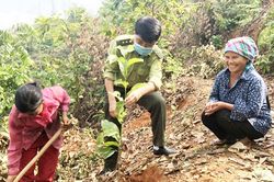 Xây dựng thành phố thêm sáng, xanh, sạch, đẹp