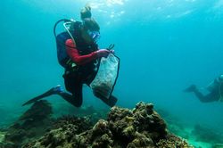 Thợ lặn Philippines dọn rác thải nhựa từ các rạn san hô