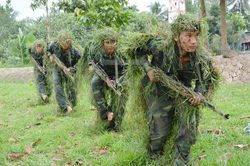 Tận mắt xem bộ đội đặc công khổ luyện 'kungfu'