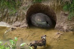 Người đàn ông tìm thấy chiếc hang bí ẩn khi đang câu cá, thứ bên trong khiến anh ta 'hồn xiêu phách lạc': Lập tức gọi cảnh sát!