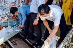 Kinh tế Nông nghiệp - Nông thôn Thả hơn 30 ngàn con cá xuống sông Hương