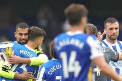 Brighton: Hiện tượng không cần ngôi sao