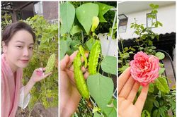 'Ngó' vườn rau tốt um trong biệt thự của Nhật Kim Anh