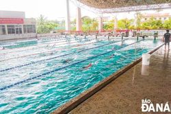 CLB Bơi Lặn Đà Nẵng: Nỗ lực hoạt động trong tình hình mới