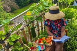 Ban công ngập rau củ quả xanh mướt mắt trong không gian 2,5m² 'đứng còn phải nhường nhau' của mẹ Việt