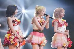 Show mới của nhóm nhạc AKB48 bị hủy chiếu