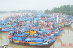 Nhiều địa phương cấm tàu thuyền ra biển hoạt động