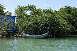 Vớt phế liệu trên hồ, hai học sinh chết đuối thương tâm