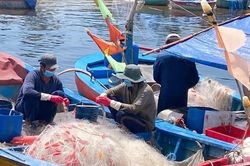 Phần lớn tỉnh Bà Rịa - Vũng Tàu áp dụng Chỉ thị 15