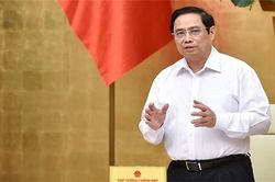 Xuất hiện ổ dịch mới, 3 tỉnh bị Thủ tướng chấn chỉnh