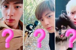 Loài vật mà Jin BTS muốn nuôi khiến ARMY bất ngờ