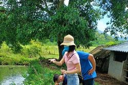Thanh Hóa: Xuất hiện 3 trường hợp sốt xuất huyết Dengue