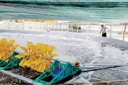 Kinh tế Kiểm soát chặt dự án đầu tư theo các tiêu chí môi trường