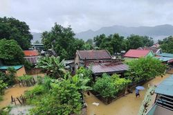 Nghệ An: Mưa to gây ngập lụt nhiều nơi, hoa màu bị hư hỏng